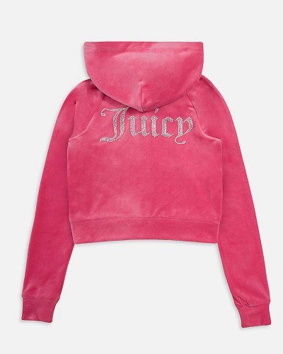 JUICY MADISON HOODIE - JCWA122001