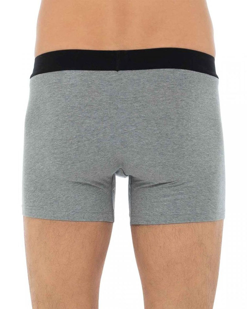 LEVIS LEVIS MEN SOLID BASIC BOXER BRIEF ORGANIC CO 2P - 701222842